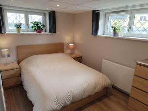 Gîte le petit wintz 4 personnes avec son jardin privatif - Parking avec borne de recharge pour véhicule électrique 22Kw - 2 vélos