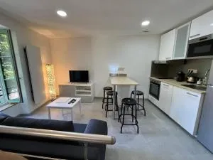 Maison au pied du château + parking privé - 圣弗洛雷