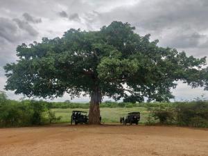 Peacock Riverside Eco Lodge