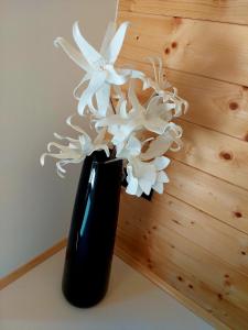 HERBALIJA Apartment Amalija - in the embrace of wellbeing