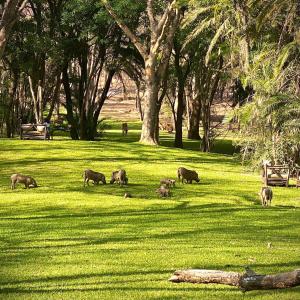 Sakae Paradise Resort