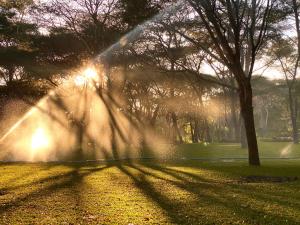 Sakae Paradise Resort