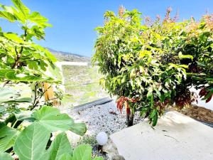 Mar a Vista by Your Madeira Rentals