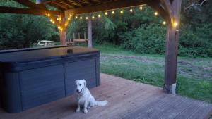 La Rossignolerie - POD Cabanes des châteaux