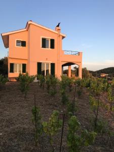 Les Oliviers Villa with Sea view on Petani Beach