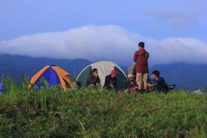 view cemping glamping