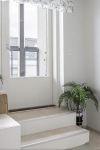 Beautiful Modern City Apartment