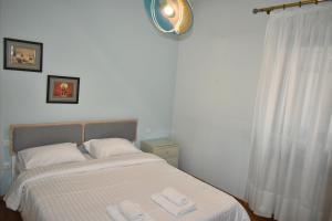 Comfortable Apartment Opposite The Park