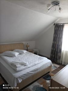 Vila Alpina Olănești