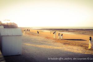 Appartements La BALEINE BLEUE : photos des chambres