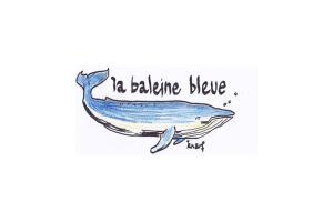 Appartements La BALEINE BLEUE : photos des chambres