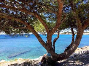 Appartements Le chant des Cigales STUDIO Duplex climatise pres des plages : photos des chambres