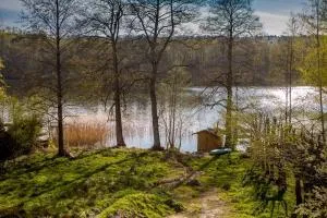 Saunowisko w Krągu - Straszydło - Łętowo