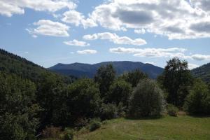 Appartement cosy à Bussang