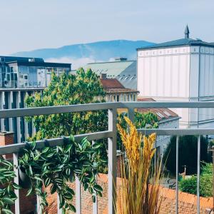 Panoramic LOFT in the CityCenter