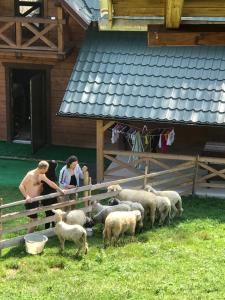 Трембіта котедж