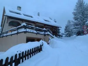 Appartement duplex pied des pistes et parking couvert - 阿尔维厄