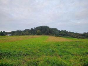 Domek u Gołąbków Bieszczady