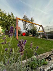 Dětský svět nedaleko Kraví Hory