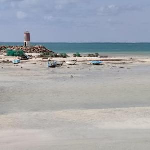 Villa Paco Djerba 2 suites et piscine privée