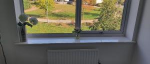 Cheerful house, private room and private shower toilet. comfortable king size mattress