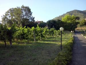 Canal di Bocco Estate Two Private Villas for Families & Groups