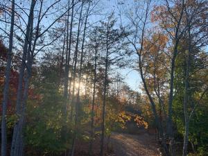 NEW Tryon Cabin by TIEC in Green River Highlands