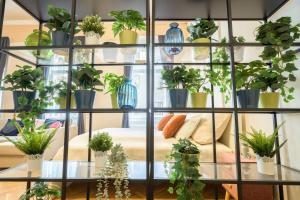 Best Seasons Garden Family