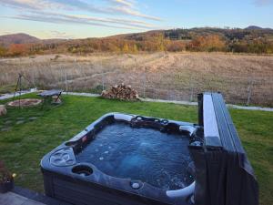 DOMEK W SŁONECZNIKACH, JACUZZI, QUADY, Góry