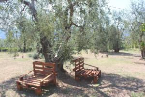 Villa La Vigna