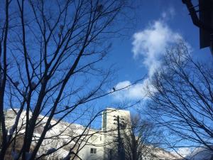 the Kinta Naeba - 3hvězdičkové hotely ve městě Juzawa