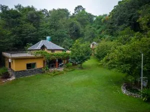 Raadballi Retreat - Kangra