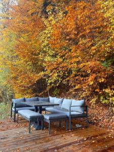 maringotka schovanka