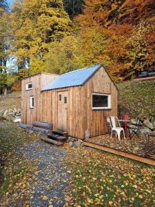 maringotka schovanka - 卡尔洛夫