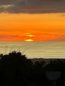 Rev' Horizon - Ligne des Bambous