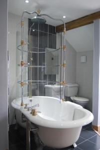Double or Twin Room with Private Bathroom - Moel Arthur room in The Feathers