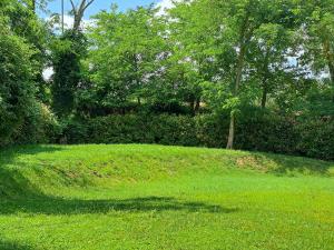 La Quercia incantata