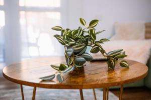 Mountain View with Terrace