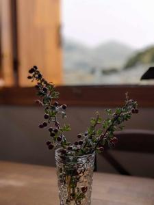 Diminio 4 Whole House Chalet