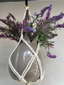 Camelia 2 Beautiful 1+1 on Cleopatra