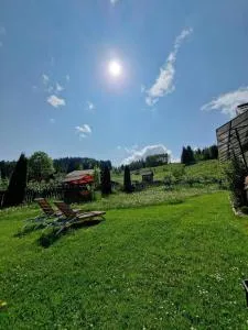 Casa Emil - Botuşel