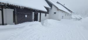 Kope, Jagoda 8 - Studio 1