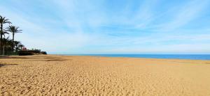 Apartamento Jacaranda by DENIA COSTA