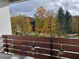 Sonnenhang Apartment