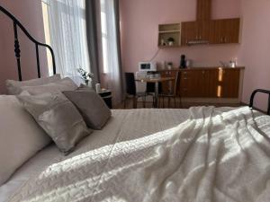 Superior Apartment room in Apartamenti DVINSKA