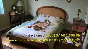 B&B / Chambres d'hotes la villa des chats : photos des chambres