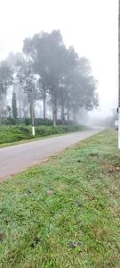 Skanda home stay