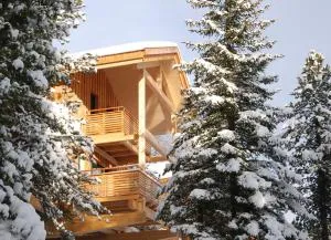 AlpenChalet ZirbenDuft - Kaiser