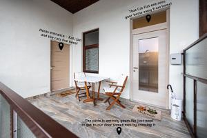 That Cat Flat - free parking, near city center, cats! 