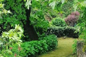 Gerês - Refúgio das Laranjeiras